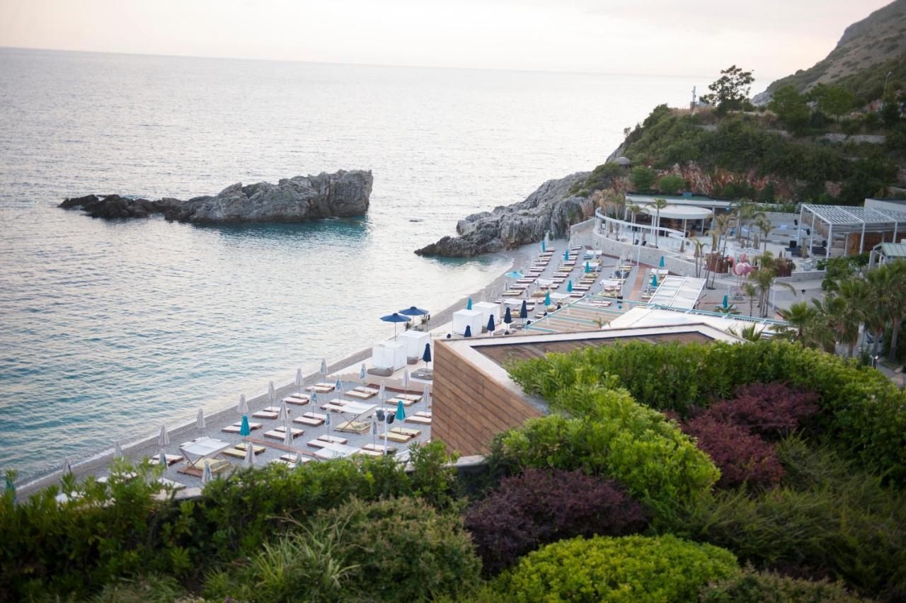 Folie Marine Club Jal